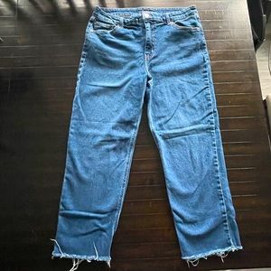 Wild Fable High Rise Straight Ankle w/ Frayed Hem